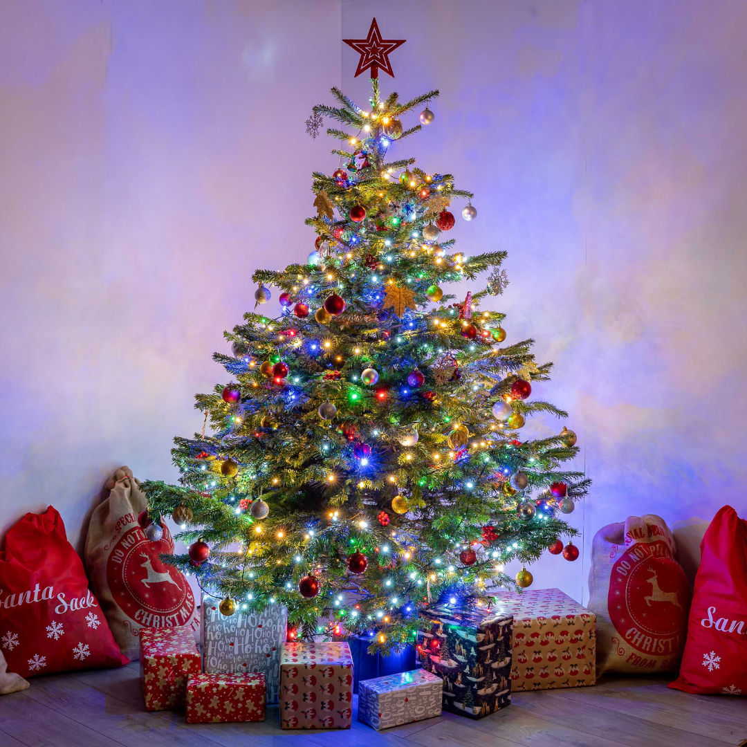 Premium Nordmann Fir Christmas Tree – Needle-Free Drop, Multiple Sizes Available